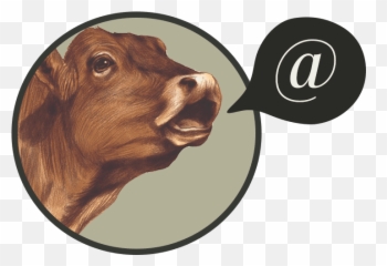 Kindred Spirits Cows U0026 Goats Hockhockson Farm Foundation - Cow Emoji,Kindred Book Emotions List