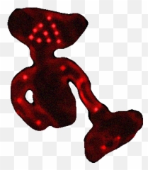 Discord Emojis List Discord Street - Unwell Bear Roblox,Sleepy Bear Emoticons Png