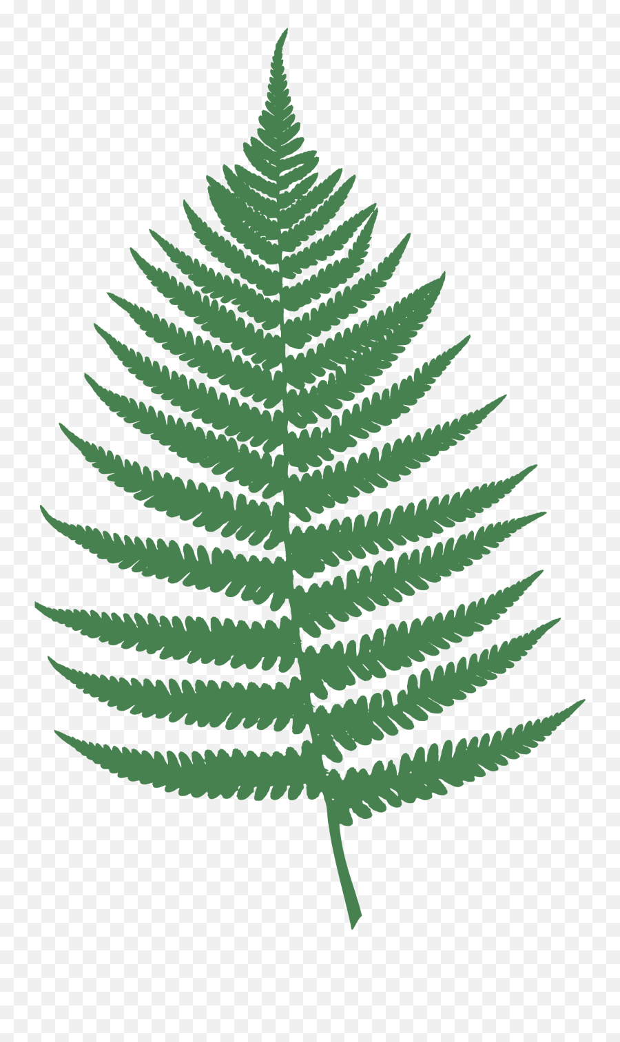 Green Fern Leaf Clip Art Image - Fern Leaf Clipart Emoji,Fern Emoji