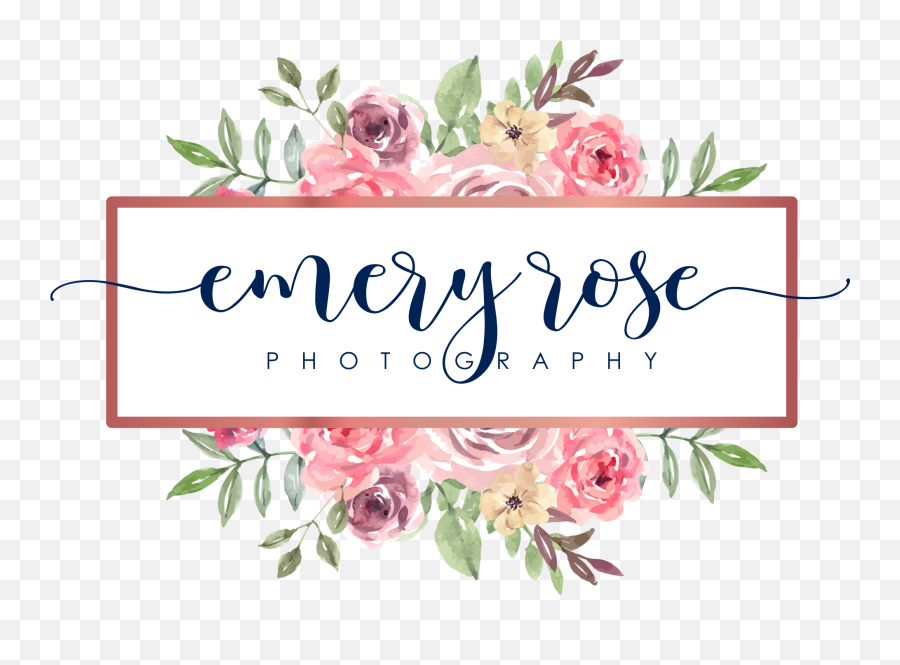 Emery Rose Photography Llc Wedding Photographers - The Knot Aliento De Vida Me Das Emoji,Sweet Emotion Video Images