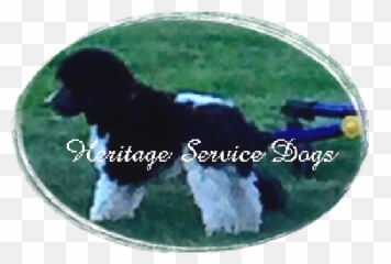 Heritage Service Dogs - Dog Supply Emoji,An Introduction To Dog Intelligence And Emotion