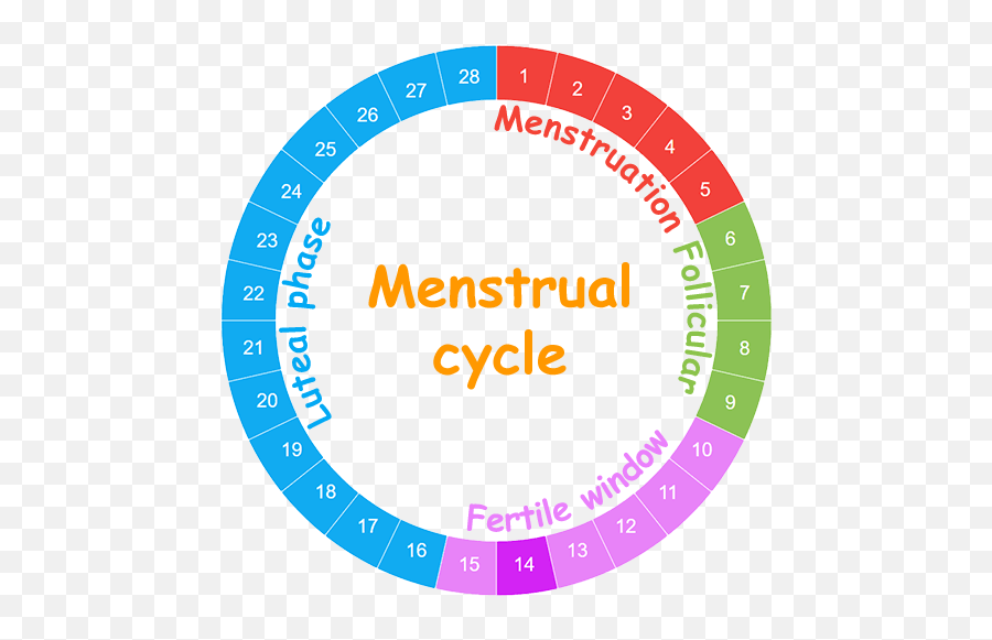 Womens Menstrual Cycle - Reptrak Emoji,Menstrual Cycle Emotions