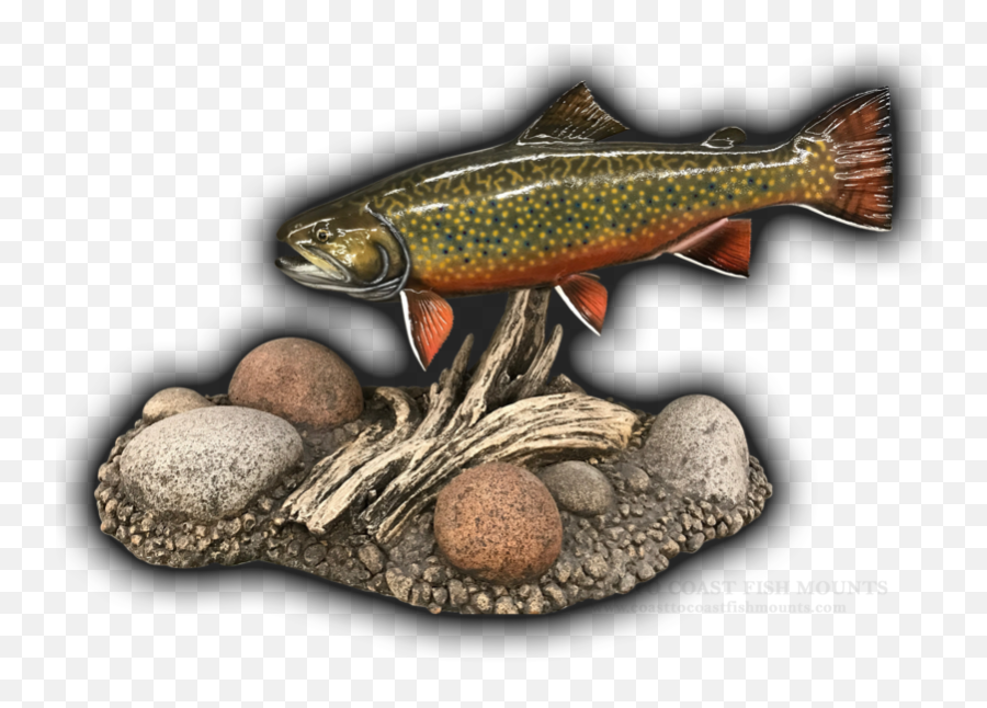 17 Brook Trout Fish Mount Replica Emoji,Arowana Fish Emotion