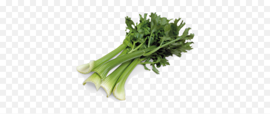 Stems - Vegetables Emoji,Sweet Emotion Stems