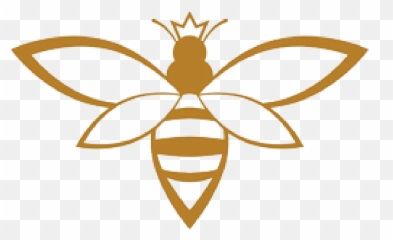 Soney Bees Raw Honey U0026 Beeswax Products Beekeeping Supplies Emoji,Bee And Sunflower Emoji