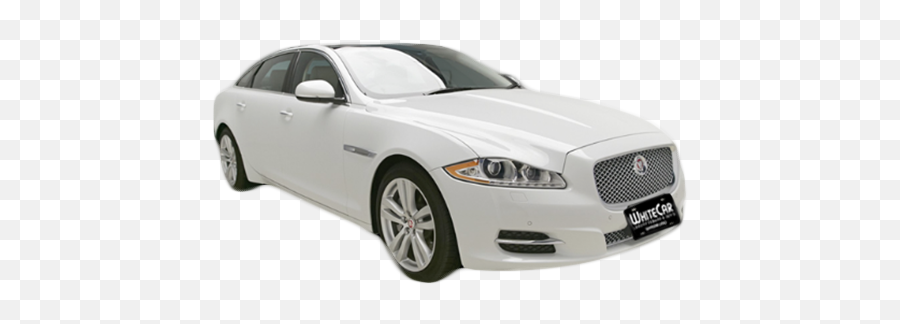 Whitecar Inc Luxury Transportation Services Orlando Fl - Luxury Sedan Cars White Emoji,Limo Emoji