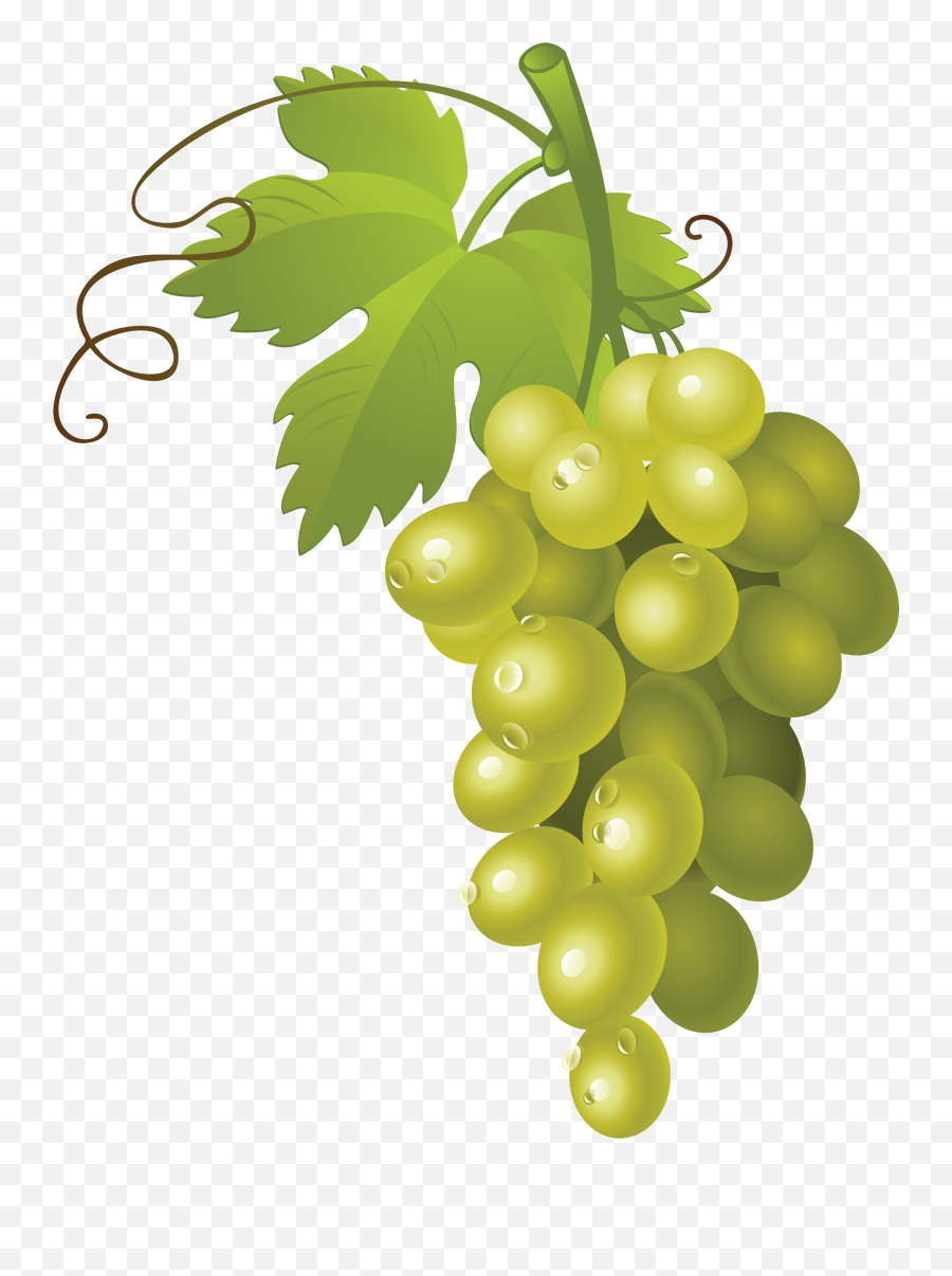 Clipart Apples Grape Clipart Apples Grape Transparent Free - Green Grapes Clipart Emoji,Green Grape Emoji