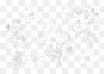 Paint The Sky With Stars On Tumblr Emoji,Bandeira.americana Emotion