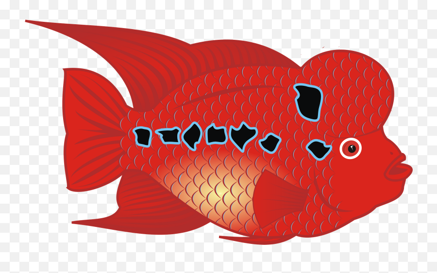 Flowerhorn Fish Clipart - Flower Horn Fish Vector Emoji,Fishbowl Emoji Transparent