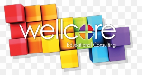 Wellcore - Transparent Emoji,Honda Civic Emotion 2006 Vissor