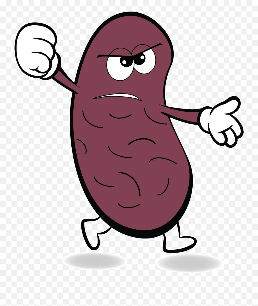 Kidney Clipart - Clip Art Library Kidney Bean Cartoon Emoji,Aurelion Sol Angry Emoji