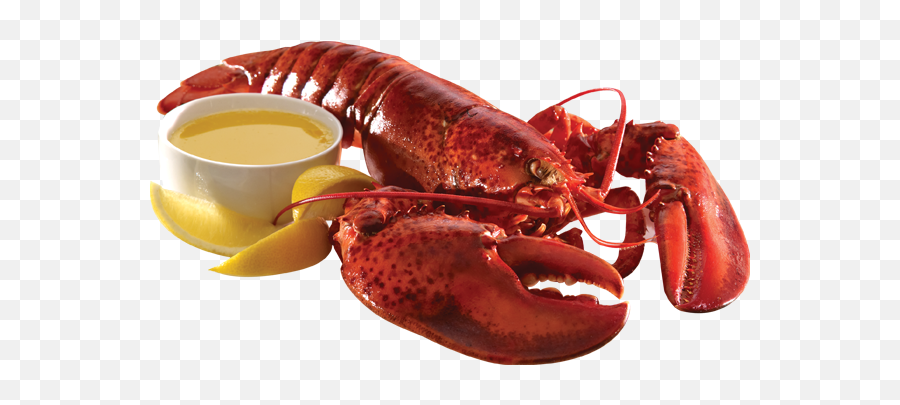 Lobster Png - Transparent Background Lobster Transparent Cooked Lobster Png Emoji,Lobster Emoji