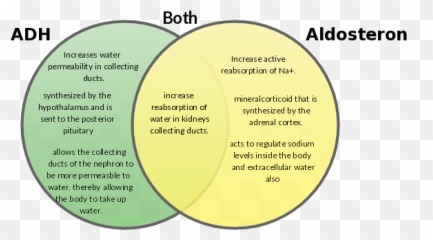 Inez Fraden - Diagram Adh Vs Aldosterone Emoji,Emotion Regulation And Coping Venn