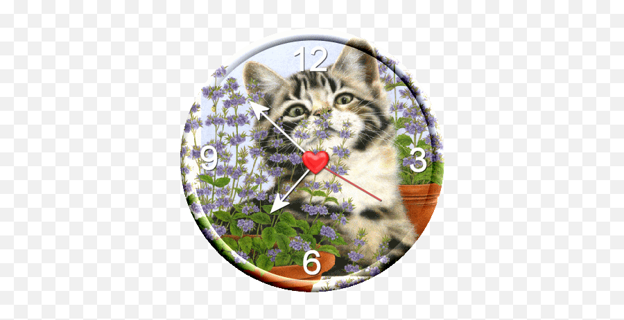 Intense Émotion - Montre Chatte Gif Picmix Emoji,Emojis Gif Tristesa