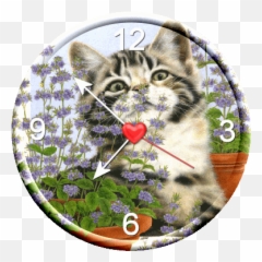 Intense Émotion - Montre Chatte Gif Picmix Emoji,Emojis Gif Tristesa