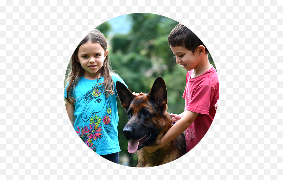 German Shepherd Breeder Based In - Boy Emoji,German Few Emotion Hip