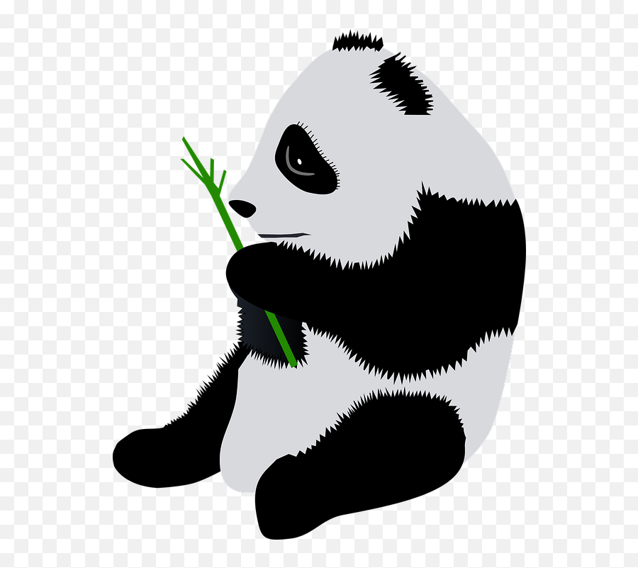 Free Photo Mammal Giant Panda Animal - Oso Panda Png Emoji,Panda Emotion Clipart