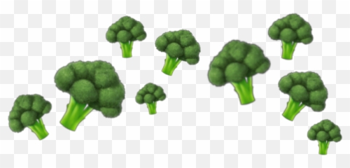 Freetoedit Broccoli Crown 325078859098211 By Charliesheen Emoji,Brocolo Emoji
