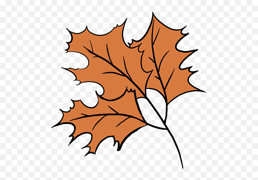 Leaf Pile Png - How To Draw Fall Oak Easy Step By Step Red Maple Emoji,How To Draw Emoji Step By Step