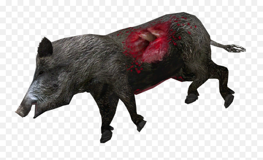 Animal Carcasses - Wild Boar Transparent Emoji,Dead Deer Emoji