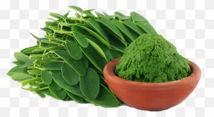 Myth Or Reality - Moringa Leaf And Powder Emoji,Emotions And Orgasms