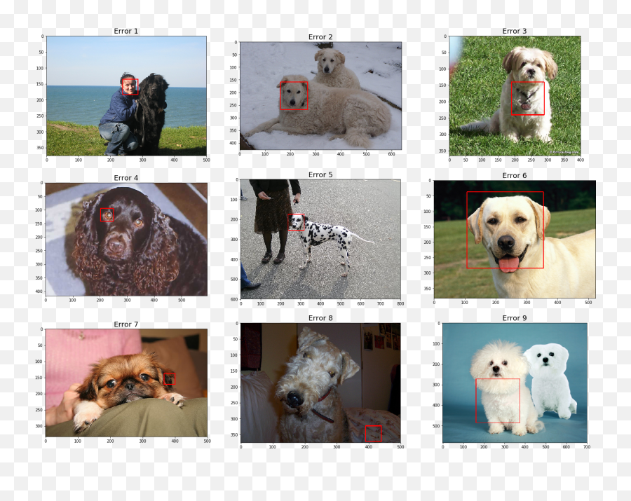 Cnns For Dog Breed Classification - Dog Supply Emoji,Dog Emotion 50% Up