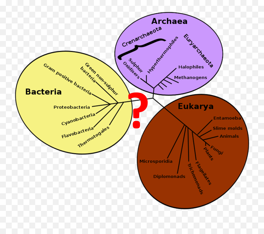 Ecoevotcd - Page 30 Of 45 Trinity College Dublin Ecology 3 Emoji,Text Emoticons Disturbed