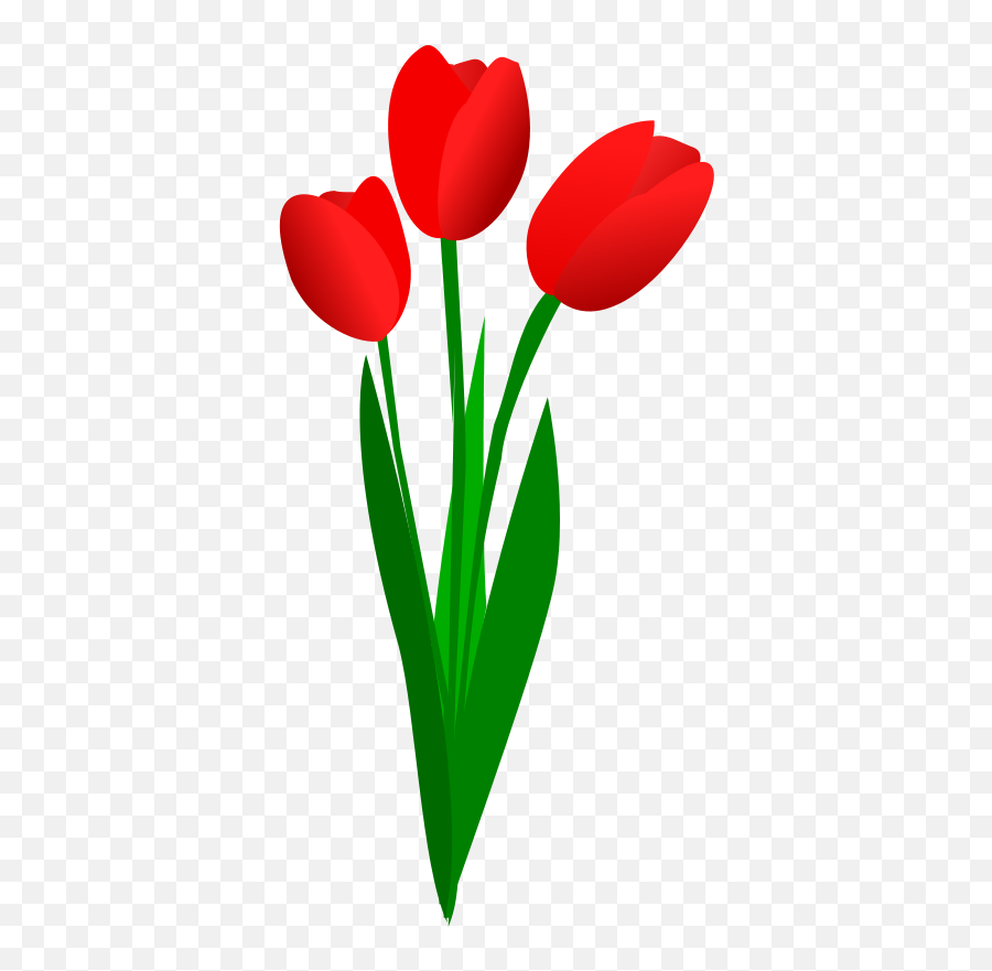 Afghanistan Flag Clipart - Clip Art Library Free Clip Art Tulips Emoji,Emoji Flah