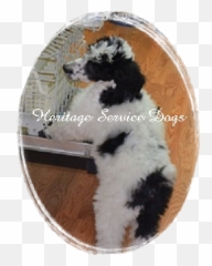 Heritage Service Dogs - Dog Supply Emoji,An Introduction To Dog Intelligence And Emotion
