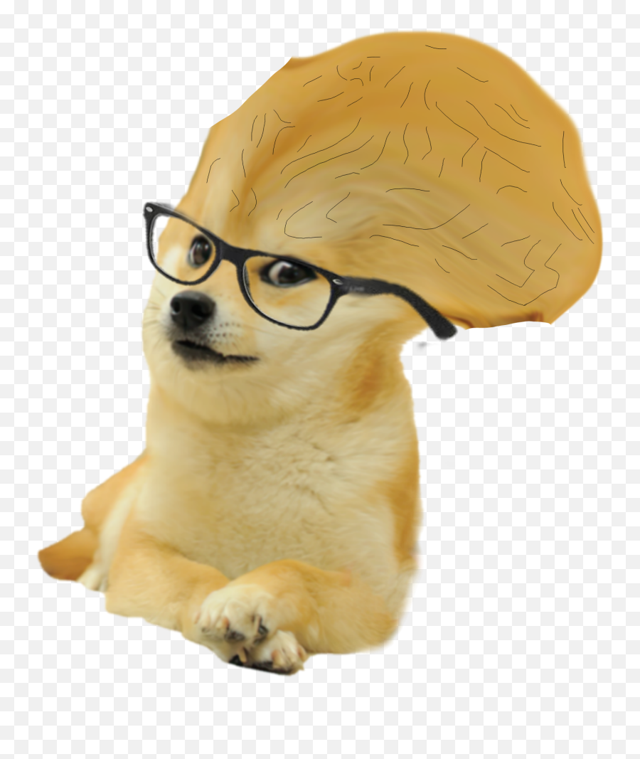 Doge Head Meme Background Png Image Png Play Emoji,Doge Emoticon Alpha Background