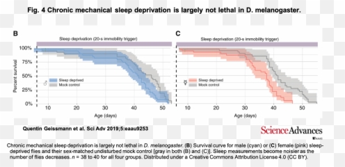 On Sleep Emoji,Sleep Emotion Chart