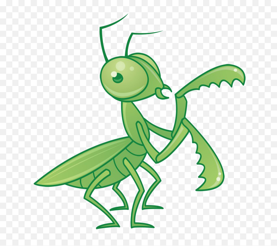 Mantis Png Transparent Images - Animated Praying Mantis Cartoon Emoji,Mantis Emoji