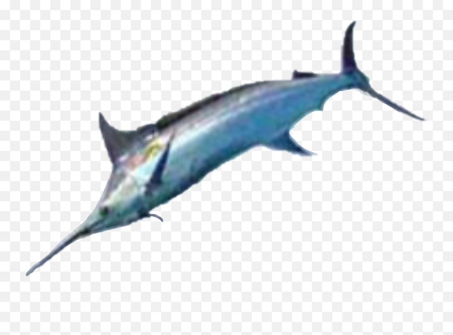 Trending - Swordfish Emoji,Swordfish Emoji