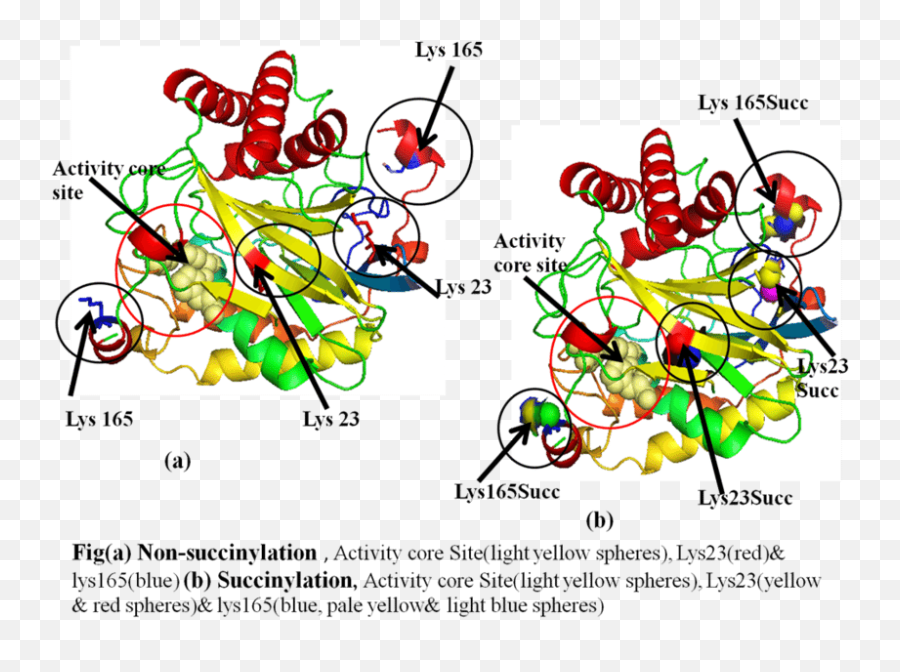 150 Questions With Answers In Protein Docking Science Topic - Dot Emoji,Guess The Emoji Level 36answers