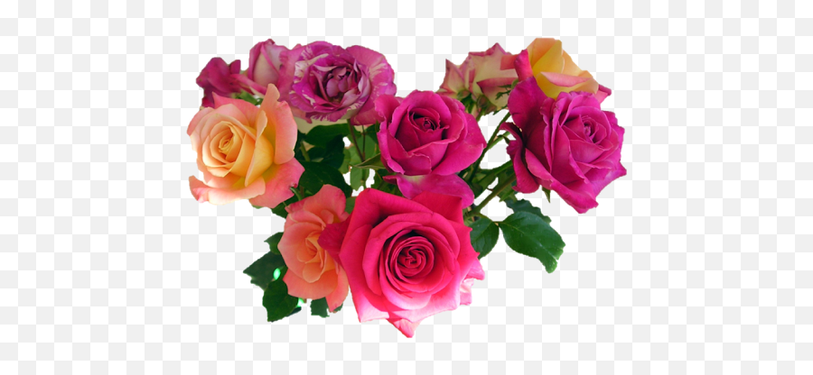 Wonderful Flowers Roses Images Gif - Transparent Background Real Flowers Png Emoji,Red Rose Emoji