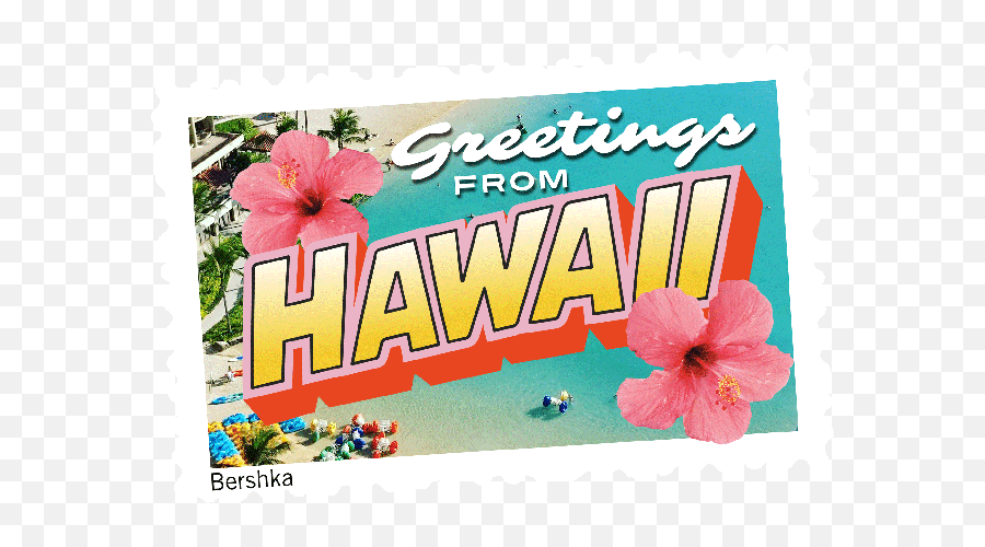 Topic For Animated Flower Hawaiian Aloha Https Cocofloss - Shoeblackplant Emoji,Shaka Emoji Iphone