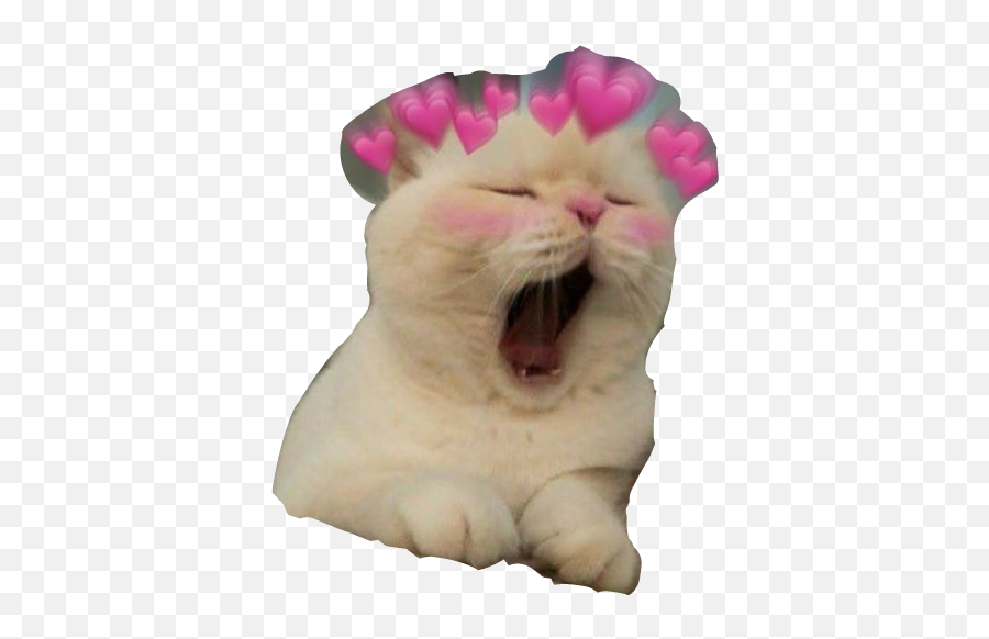 Cat Kitty Meme Crown Heart Sticker Emoji,Cat Heart Emoji Meme