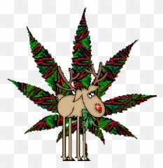 Tattoo Artists Explain Which Tattoos - Pochoir Feuille De Cannabis Emoji,Lion Tattoo Rib Cage With Emotion