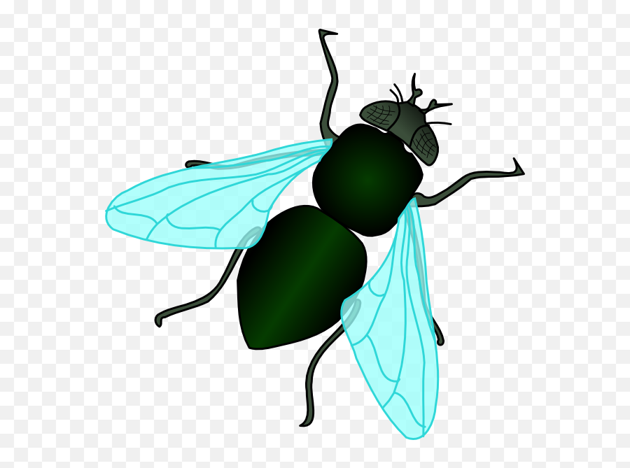 Cartoon Pictures Of Flies - Clipartsco Fly Insect Clipart Emoji,Emoticon Dead Housefly