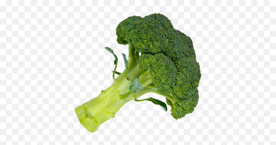 Fresh Broccoli Png Download Image Emoji,Veggies Emoji Broccoli