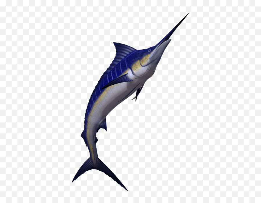 Download Marlin Fish Png Image With No - Marlin Fish No Background Emoji,Swordfish Emoji
