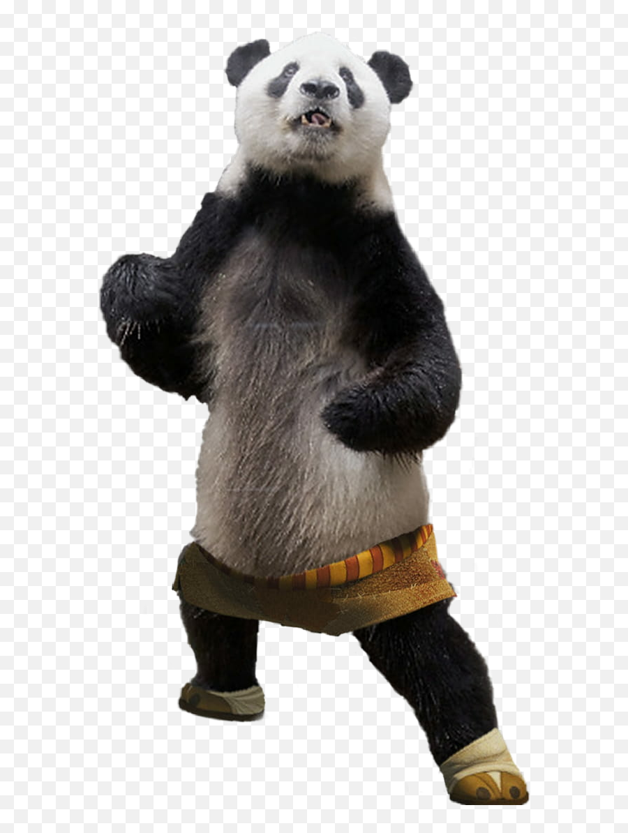 Panda Po Kungfupanda Sticker By Fonzie - Kung Po Kung Panda Emoji,Kungfu Panda Emoji