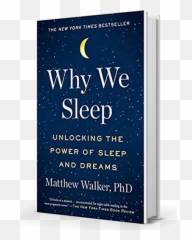 The Most Destructive Diabetes Landmine Lack Of Sleep - Horizontal Emoji,Sleepy Emotions
