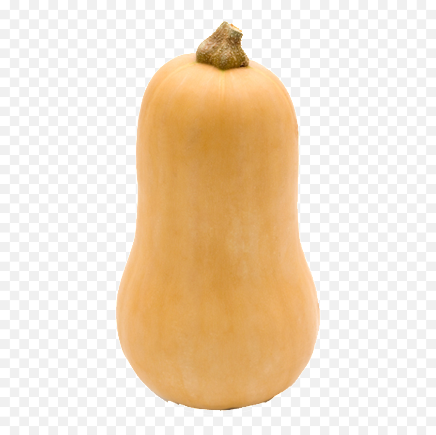 Download Hd Pumpkin Transparent Vegetables - Photograph Butternut Squash Emoji,Vegetable Emojis No Background