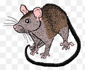 Mouse Rat Clipart - Clip Art Library Rat Cartoon Emoji,69 Rat Emoji