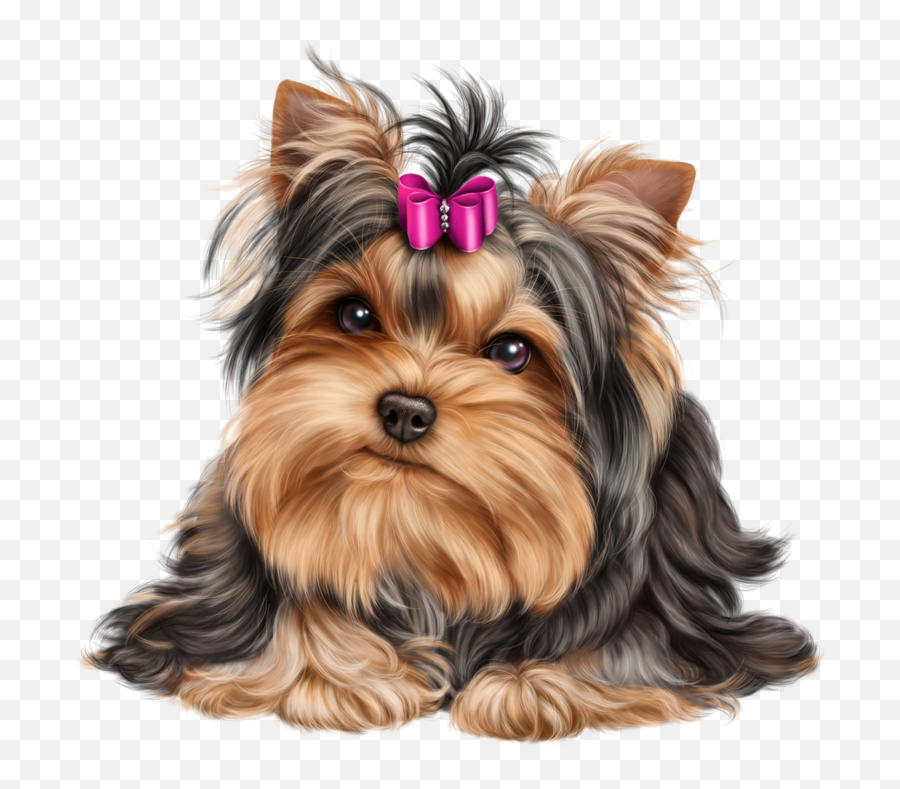 Clipart Puppy Yorkie Picture - Yorkshire Terrier Png Emoji,Yorkie Emoji