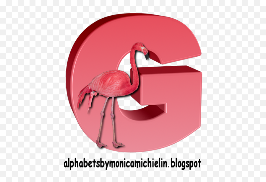 Flamingo - Letras Do Alfabeto Em Flamingo Emoji,Flamongo Emoji