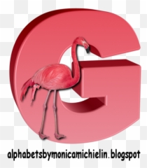 Flamingo - Letras Do Alfabeto Em Flamingo Emoji,Flamongo Emoji