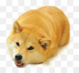Download Doge Sticker - Funny Shiba Inu Face Png Image With Emoji,Doge Emoticon Alpha Background