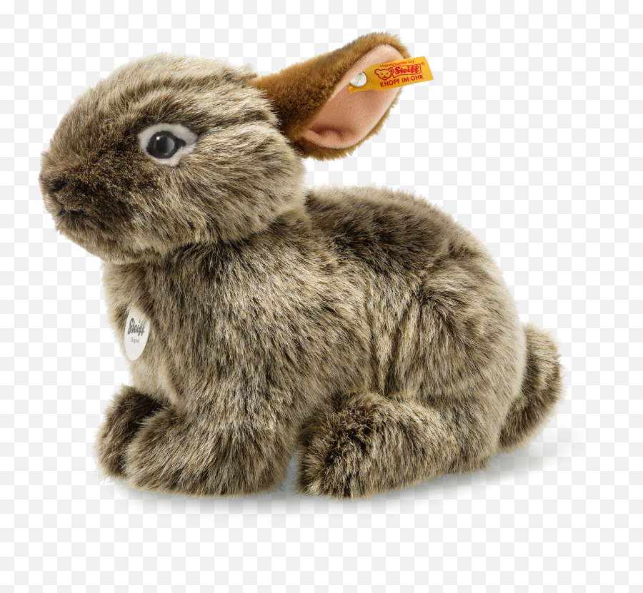 National Geographic Vula Volcano Rabbit Emoji,Sitting Rabbit Emoticon